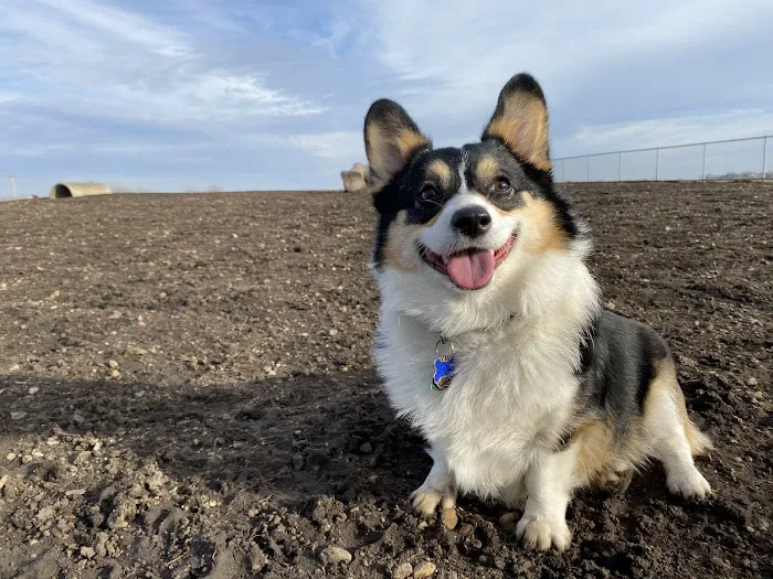 South Central Veterinary Clinic Picture 1