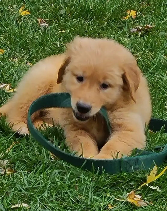 South Central Veterinary Clinic Picture 4