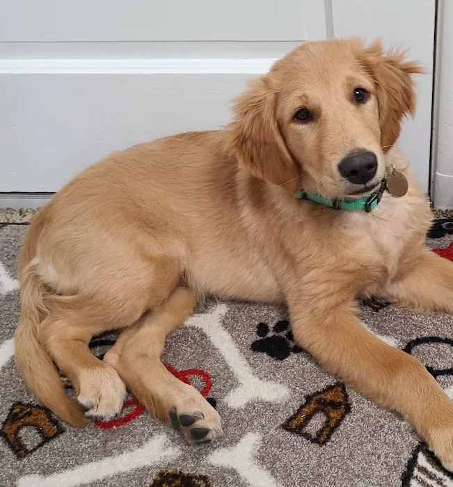 South Central Veterinary Clinic Picture 5