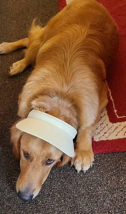 South Central Veterinary Clinic Picture 3