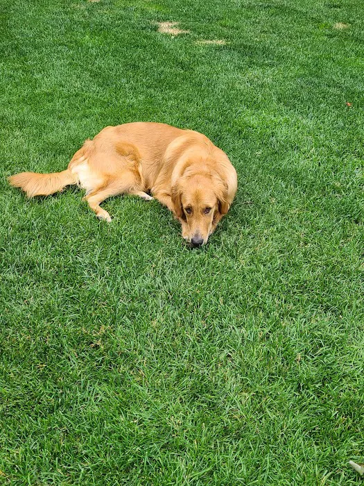 South Central Veterinary Clinic Picture 7