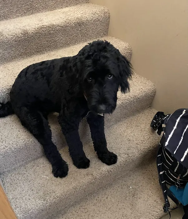 South Central Veterinary Clinic Picture 9