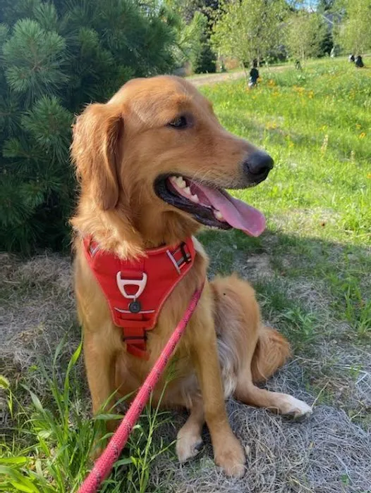 South Central Veterinary Clinic Picture 8