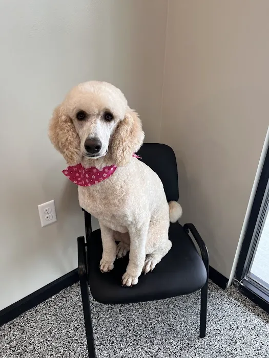 South Central Veterinary Clinic Picture 10