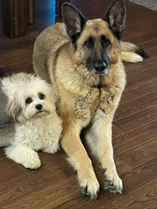 Horizon Pet Care Picture 5