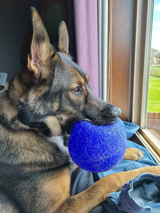 Horizon Pet Care Picture 7