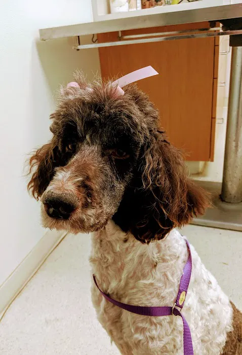 Brandon Valley Veterinary Clinic Picture 1