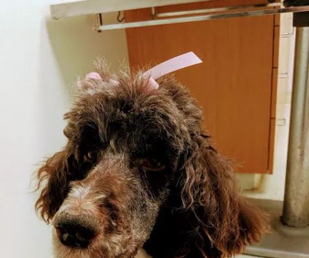 Brandon Valley Veterinary Clinic