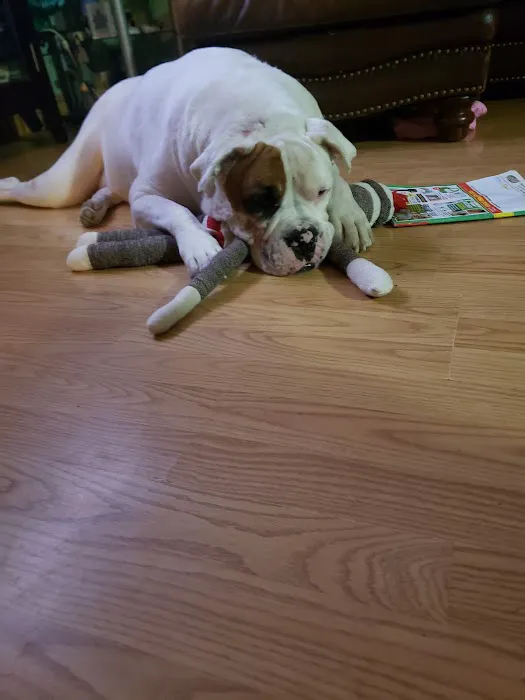 Brandon Valley Veterinary Clinic Picture 2