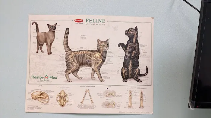 Brandon Valley Veterinary Clinic Picture 4