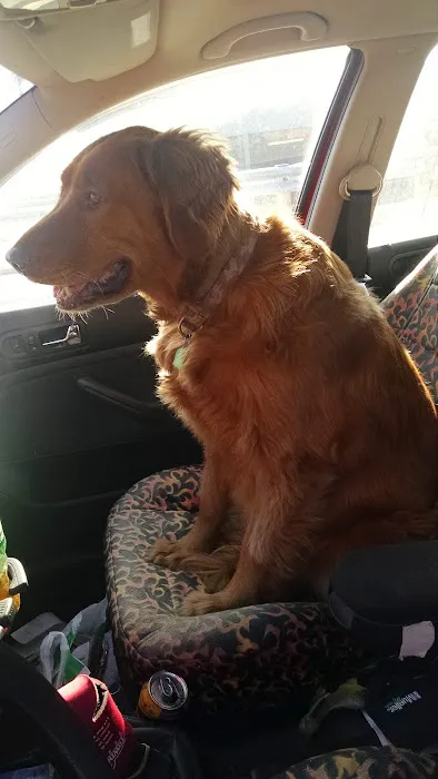 Brandon Valley Veterinary Clinic Picture 7