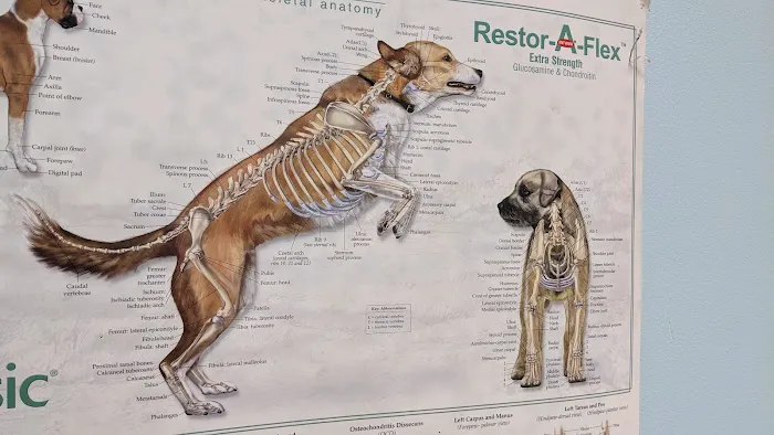 Brandon Valley Veterinary Clinic Picture 6