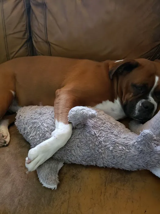 Brandon Valley Veterinary Clinic Picture 5