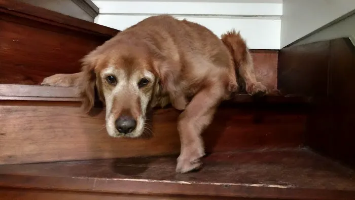 Brandon Valley Veterinary Clinic Picture 9