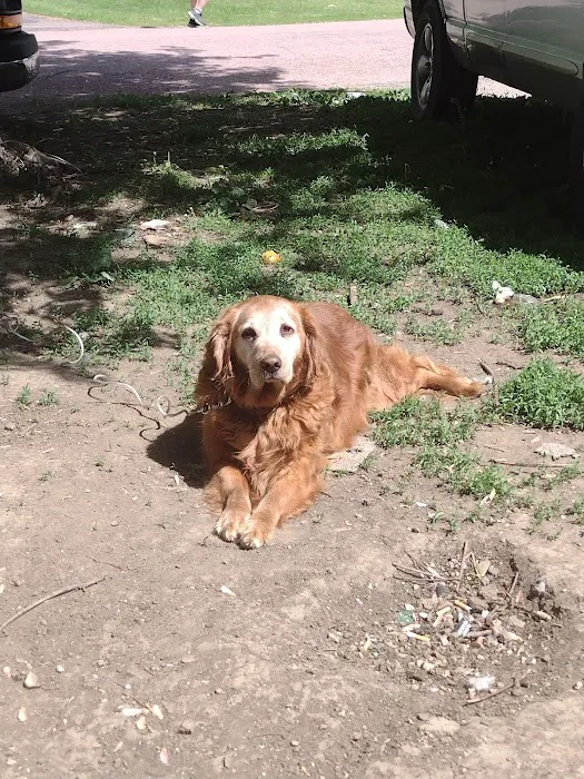 Brandon Valley Veterinary Clinic Picture 10