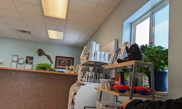 Brandon Valley Veterinary Clinic Picture 8