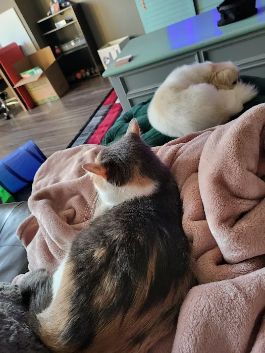 Spoo Joe DVM Picture 4