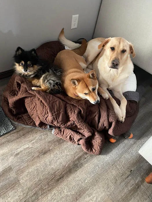 Spoo Joe DVM Picture 7