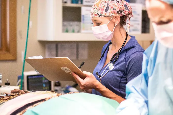 Spoo Joe DVM Picture 8