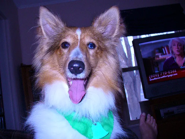 Strohbehn Veterinary Clinic Picture 2