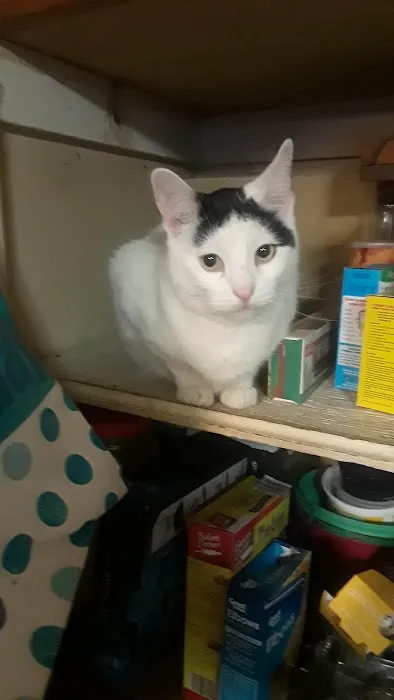 Strohbehn Veterinary Clinic Picture 7