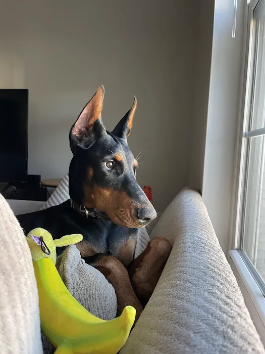 Strohbehn Veterinary Clinic Picture 9