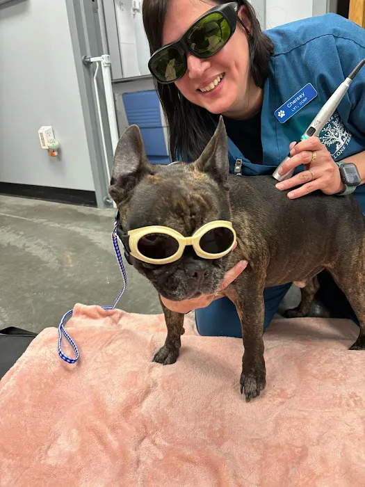 Lone Tree Animal Care Center Picture 8