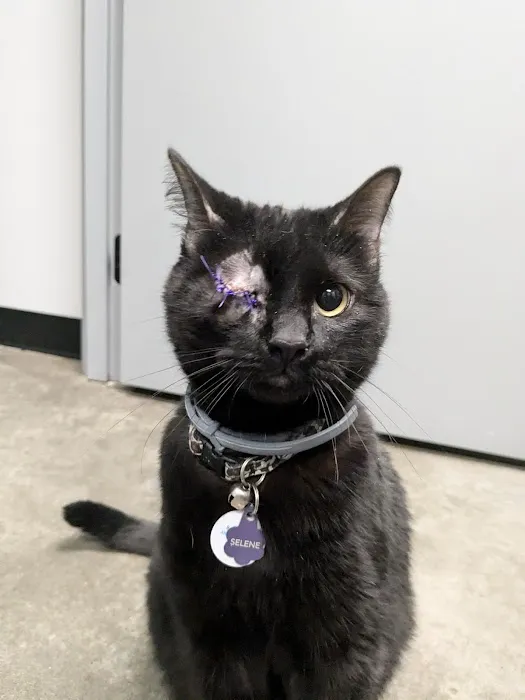 Lone Tree Animal Care Center Picture 7