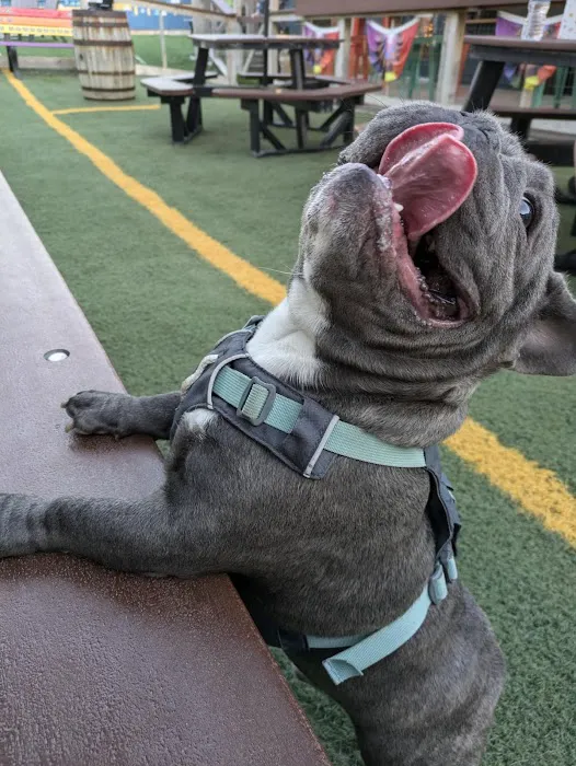 Lone Tree Animal Care Center Picture 6