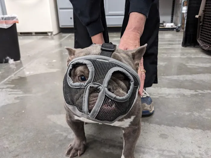 Lone Tree Animal Care Center Picture 9