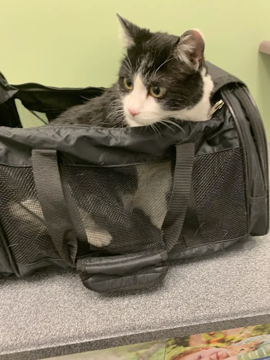 24th Street Animal Clinic Picture 4