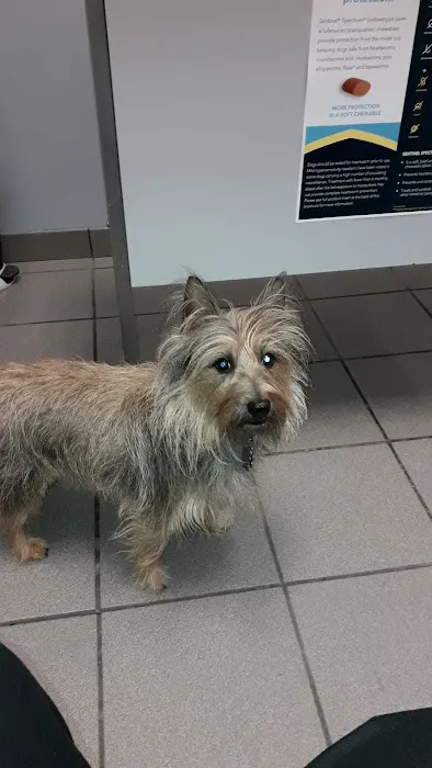 24th Street Animal Clinic Picture 2