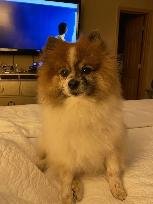 24th Street Animal Clinic Picture 6