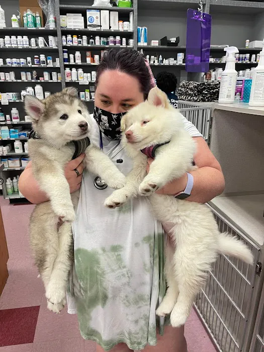 24th Street Animal Clinic Picture 10