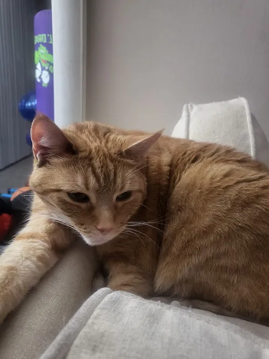 Heartland Pet Hospital Picture 2