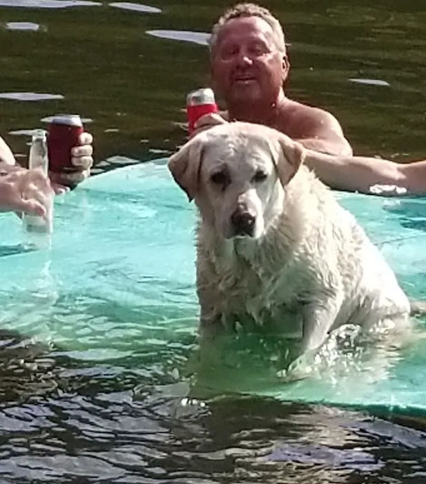 Heartland Pet Hospital Picture 3