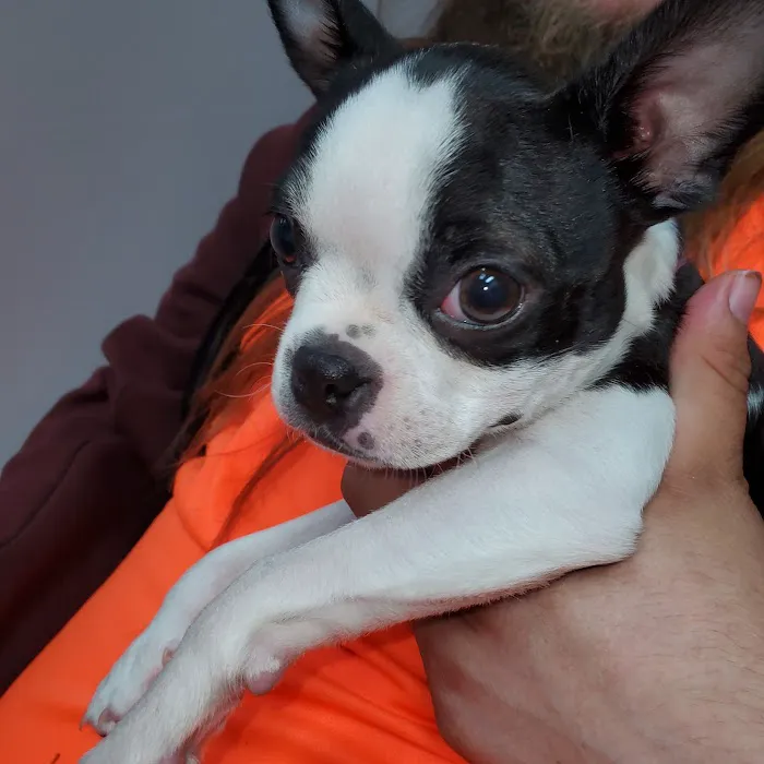 Heartland Pet Hospital Picture 6