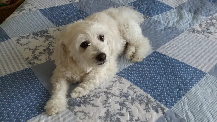 Heartland Pet Hospital Picture 5