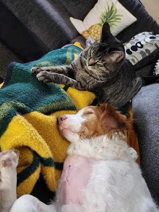 Heartland Pet Hospital Picture 7