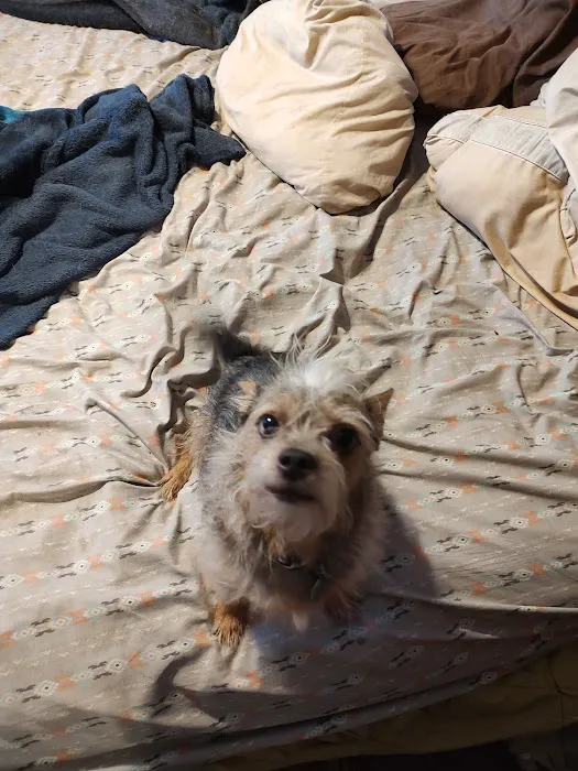 Heartland Pet Hospital Picture 10