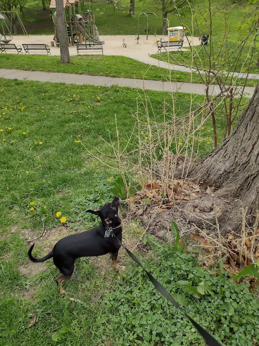 South Omaha Animal Hospital Picture 1