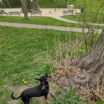 South Omaha Animal Hospital