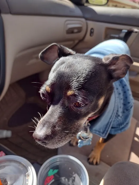 South Omaha Animal Hospital Picture 5