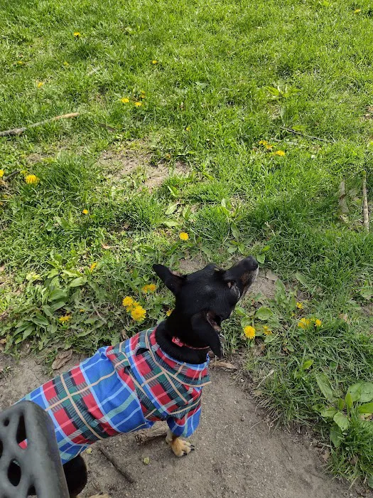 South Omaha Animal Hospital Picture 4