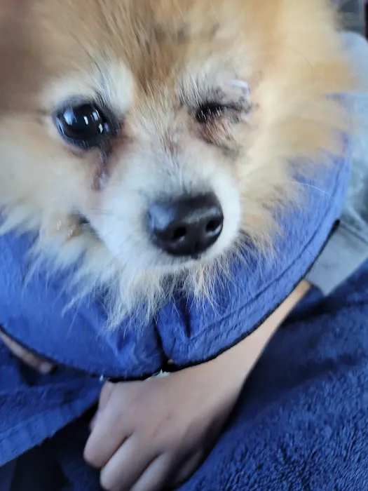 South Omaha Animal Hospital Picture 2