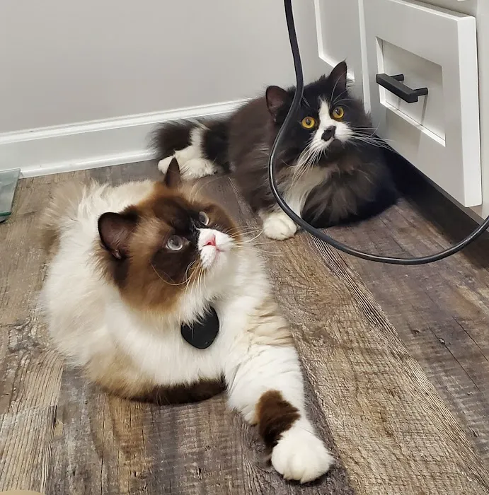 South Omaha Animal Hospital Picture 3