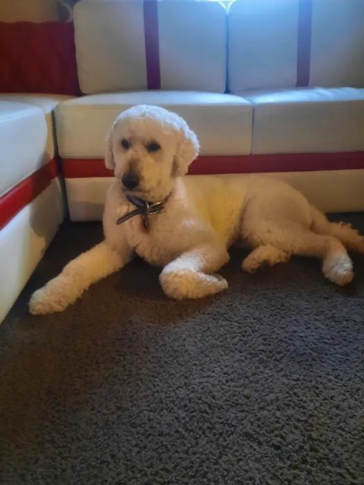 South Omaha Animal Hospital Picture 7