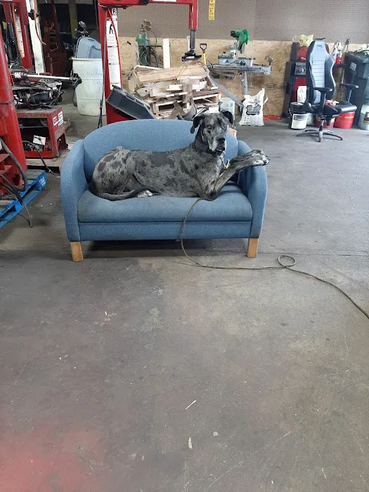 South Omaha Animal Hospital Picture 9