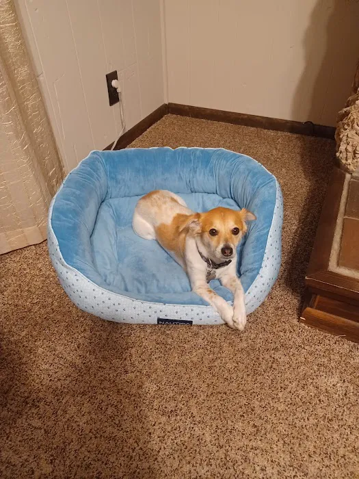 South Omaha Animal Hospital Picture 10