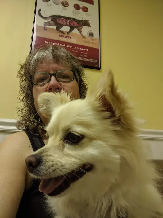 Bellevue Animal Hospital PC Picture 2